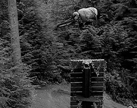 BRANDON SEMENUK ACT 2