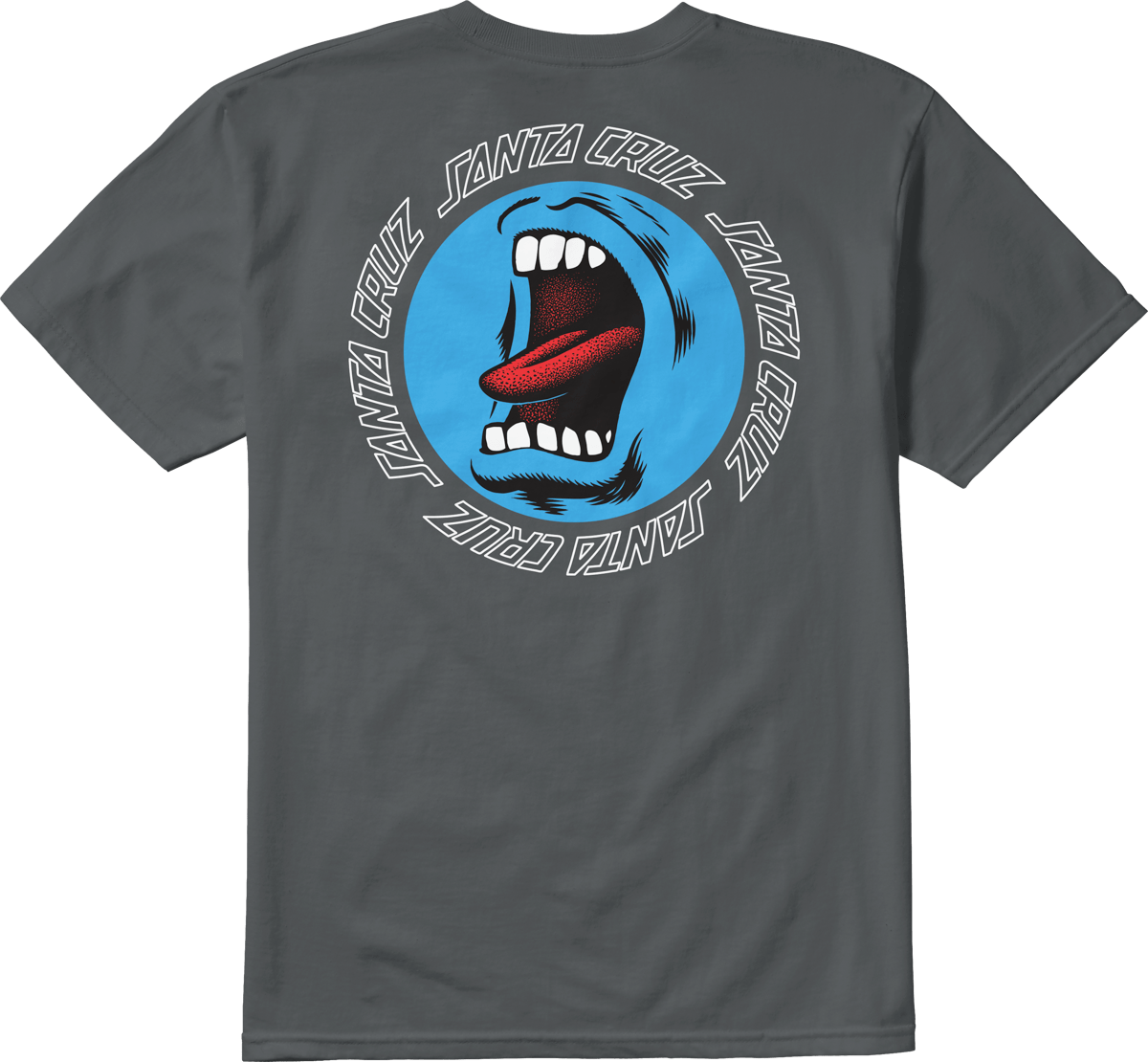 SANTA CRUZ SCREAMING HAND TEE S/S Basic T-Shirt Etnies Skate Original Sustainability Gear