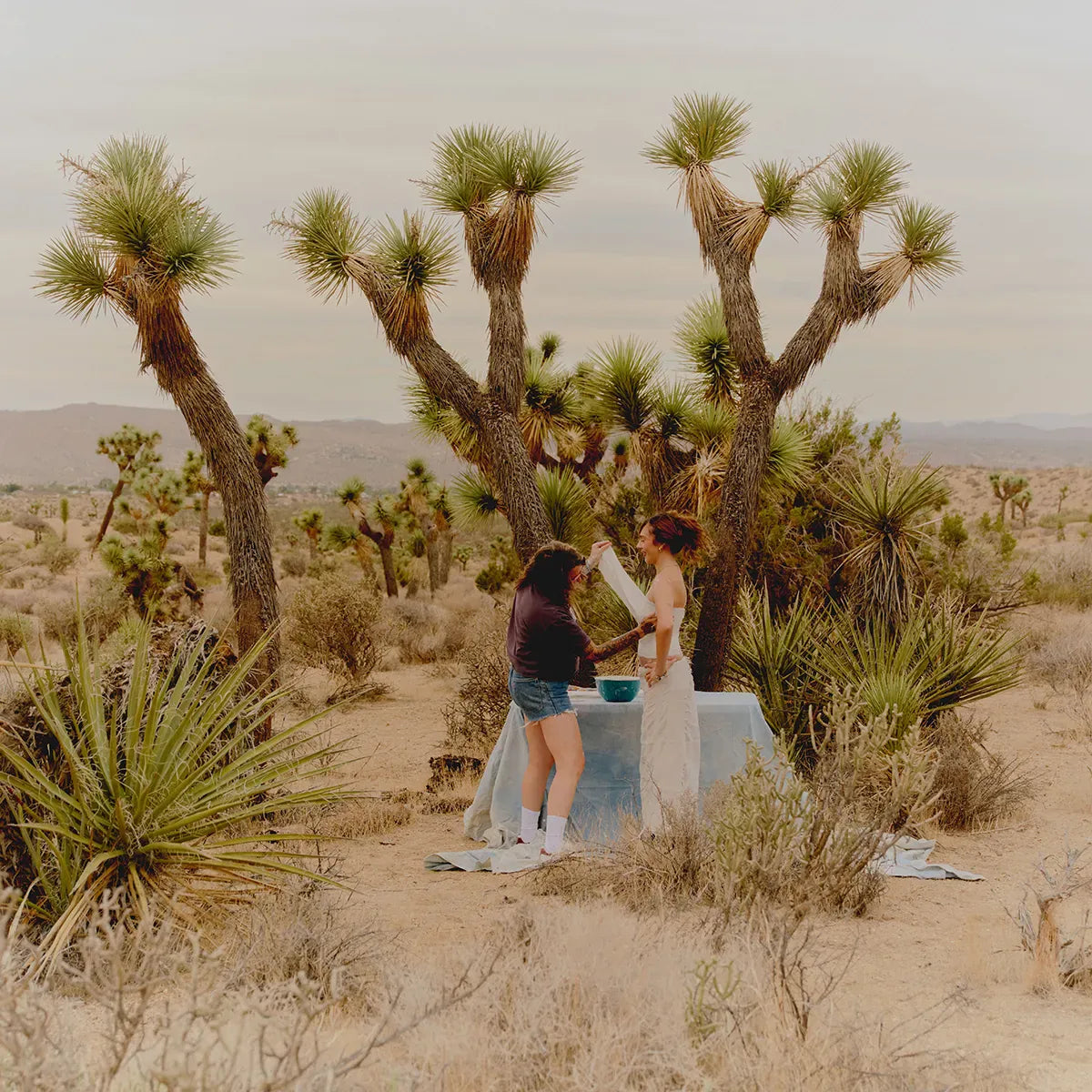 Locut X Keep A Breast - Pink Women Shoes | etnies Official EU Low-Top Shoe Etnies Skate Original Sustainability Gear