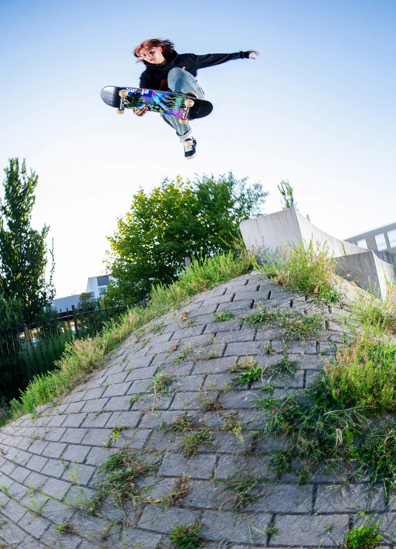 Classic Skate Shoes