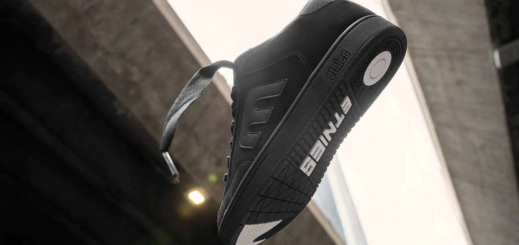 Explore New Arrivals