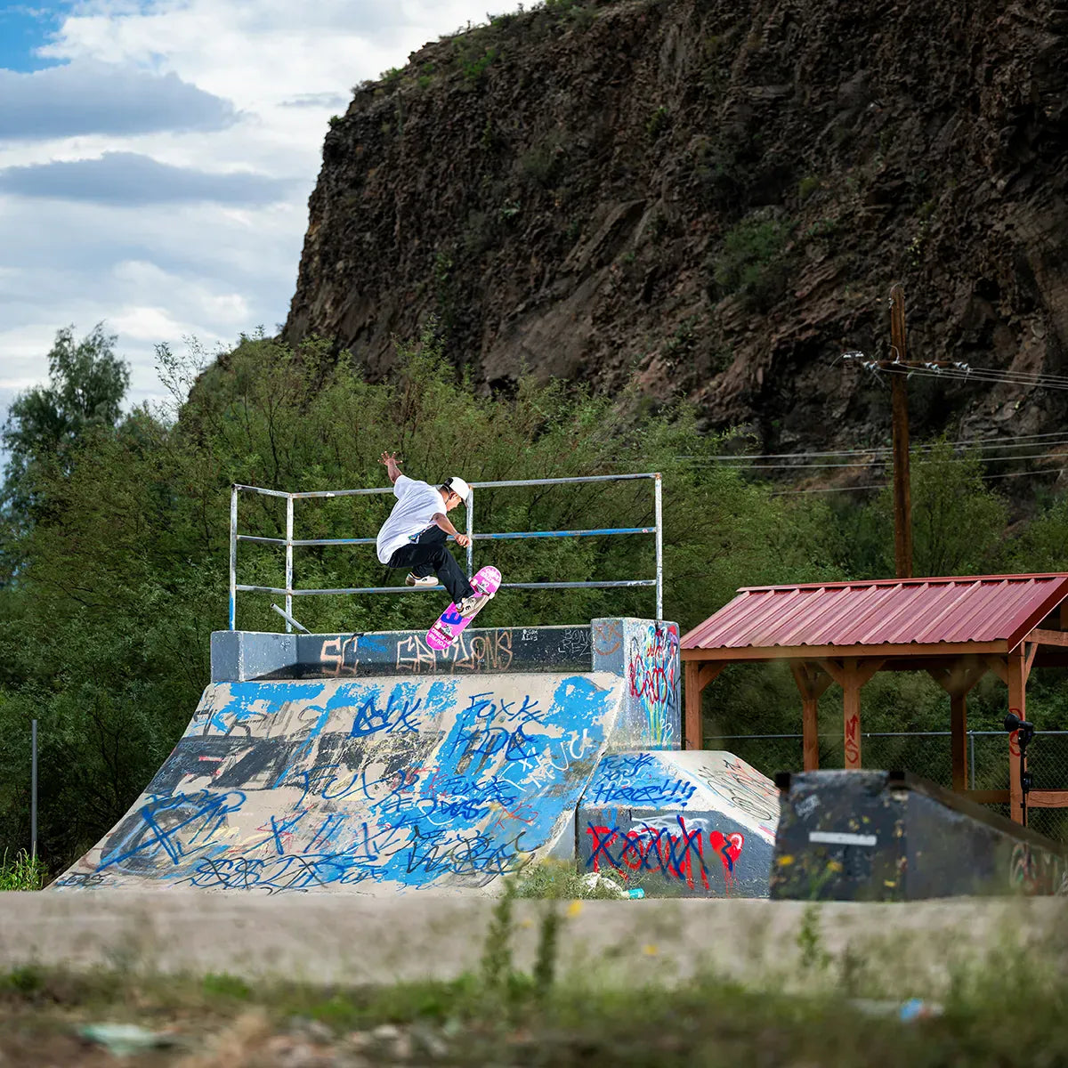 Loot X Apache Low-Top Shoe Etnies Skate Original Sustainability Gear